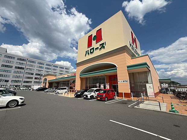 ハローズ観音新町店（約650m）