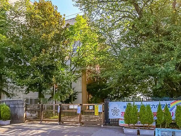 朝霞市立朝霞第六小学校（約900m）