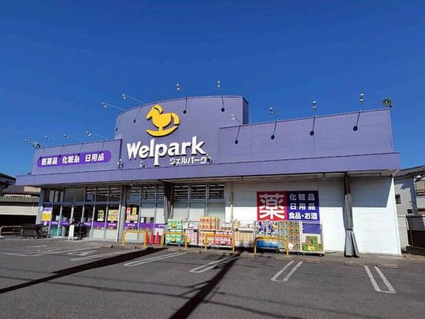 ウェルパーク新座野寺店（約426m）