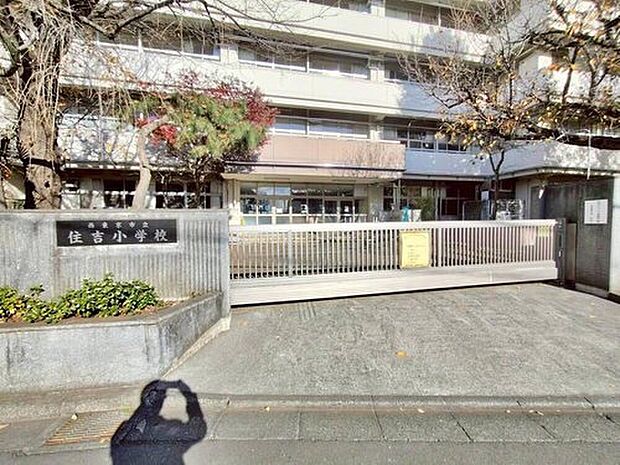 西東京市立住吉小学校(約707m)