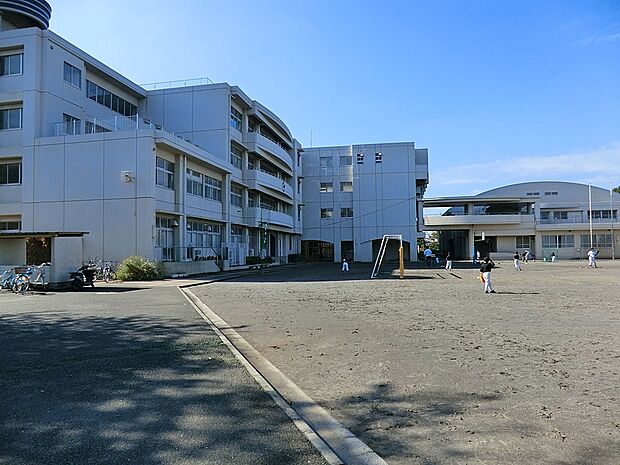 横浜市立下田小学校（約800m・徒歩10分）