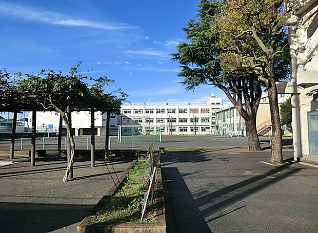 横浜市立南瀬谷小学校(約300m・徒歩4分)