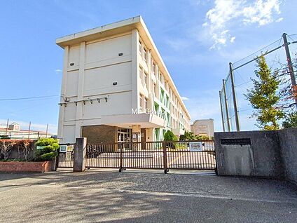 藤沢市立高浜中学校 543m(7分)