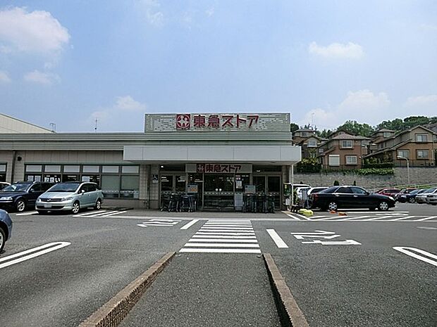 東急ストアたちばな台店(約1,500m・徒歩19分)
