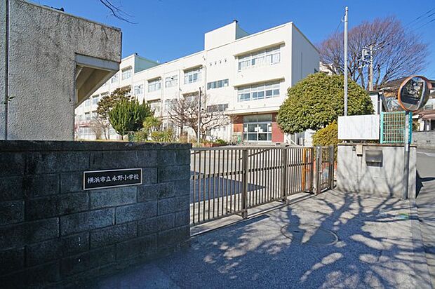 横浜市立永野小学校（約363m・徒歩5分）