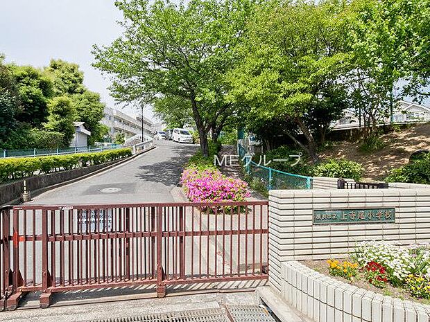 横浜市立上寺尾小学校（約260m・徒歩4分）