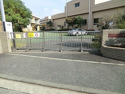 横浜市立下郷小学校 800m(10分)