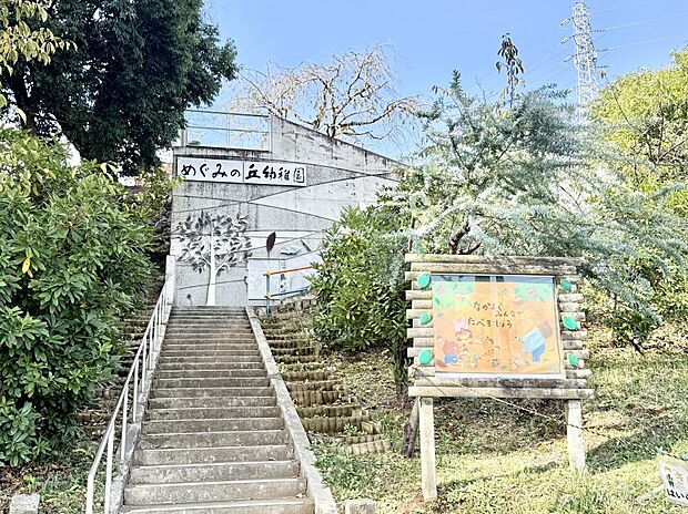 めぐみの丘幼稚園(約1,600m・徒歩20分)