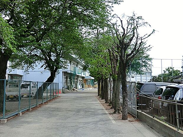 町田市立南第三小学校（約800m・徒歩10分）