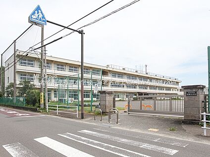 海老名市立有鹿小学校 1200m(15分)