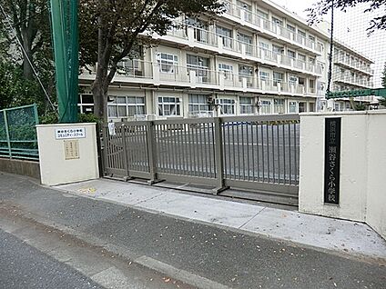 横浜市立瀬谷さくら小学校 950m(12分)