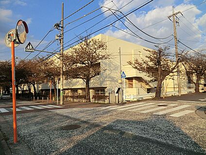 横浜市立南台小学校 900m(12分)
