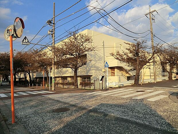 横浜市立南台小学校（約900m・徒歩12分）