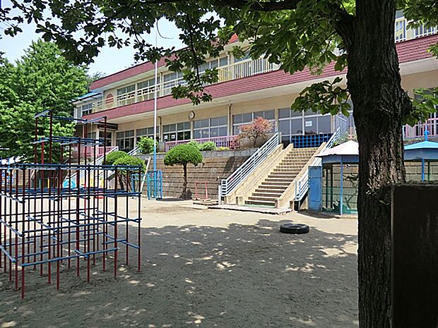 柏幼稚園(約800m・徒歩10分)