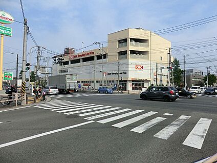 オーケー長津田店 700m(9分)