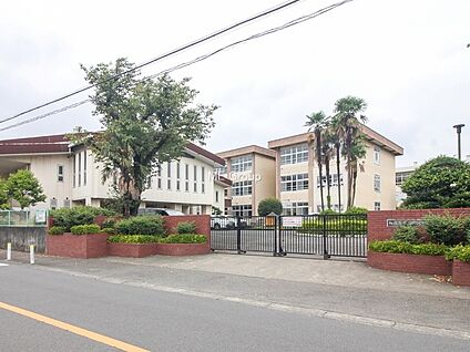 相模原市立大沢中学校 400m(5分)