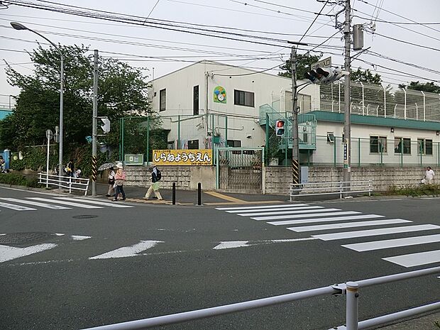 白根幼稚園（約800m・徒歩10分）