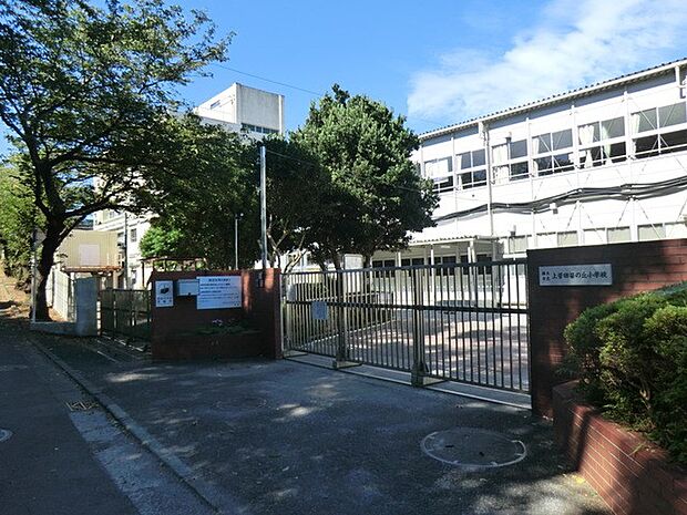横浜市立上菅田笹の丘小学校（約260m・徒歩4分）