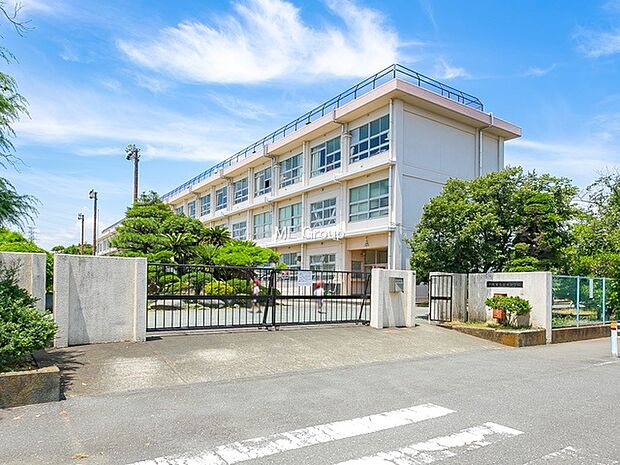 平塚市立真土小学校(約600m・徒歩8分)