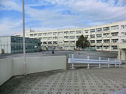 横浜市立本宿小学校 600m(8分)