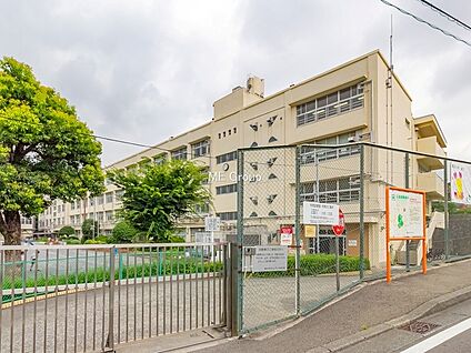 横浜市立山下小学校 400m(5分)