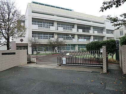 横浜市立錦台中学校 1500m(19分)