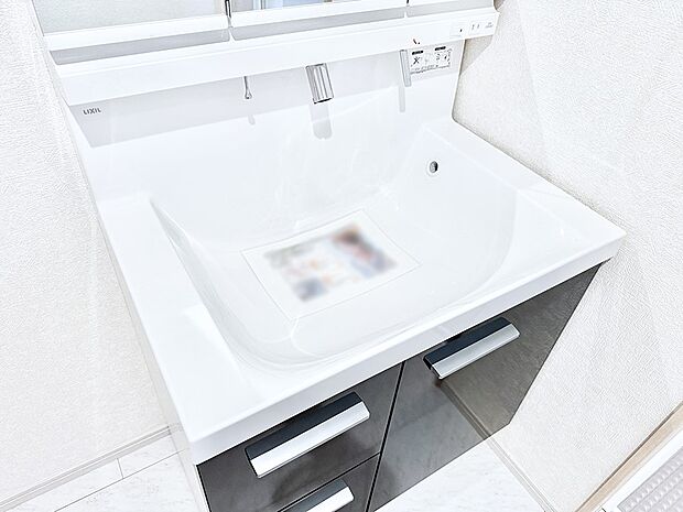 【ハンドシャワー付洗面台】■清潔でおいしい水を手軽に供給してくれます