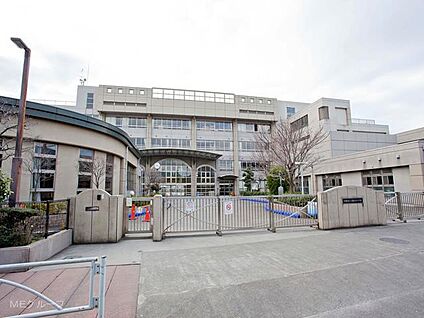 川崎市立稲田小学校 1040m(13分)