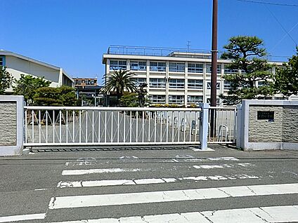 平塚市立大野小学校 550m(7分)