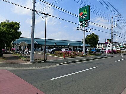 マルエツ綾瀬店 700m(9分)