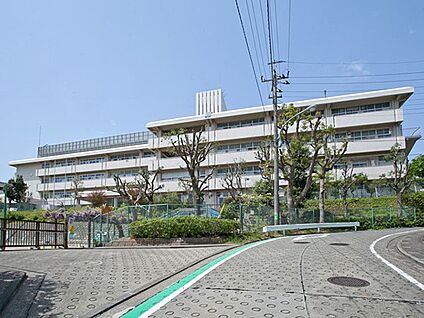 横浜市立左近山小学校 1500m(19分)