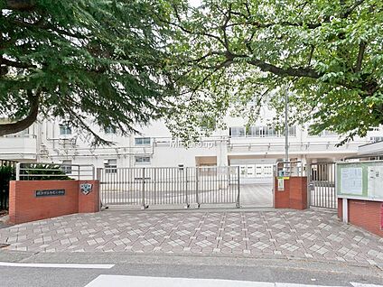 横浜市立寺尾小学校 700m(9分)