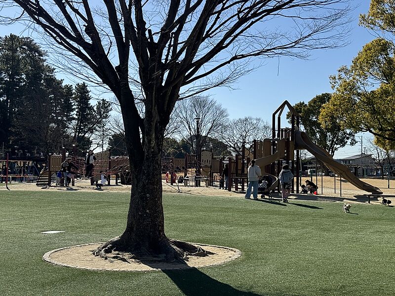 【その他】天王川公園