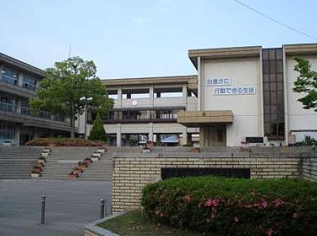 中央台北中学校（約974m）
