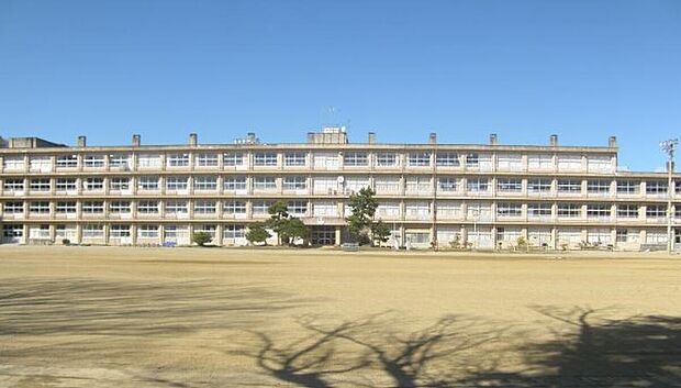 錦小学校(約1m)