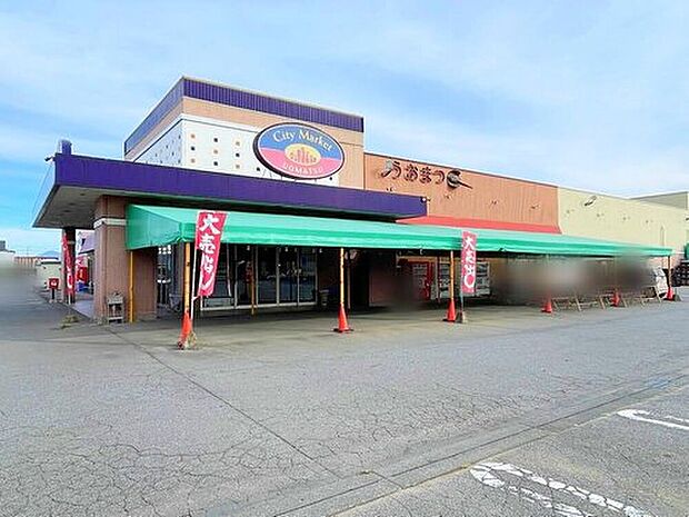 シティーマーケットうおまつ本店（約390m）