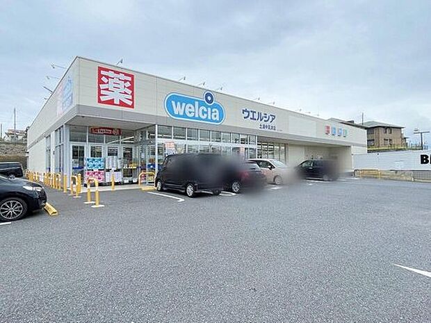 ウエルシア土浦中高津店（約1,110m）