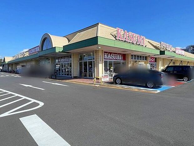 カスミフードスクエア大穂店（約1,700m）