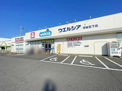 ウエルシア常総石下店 320ｍ(徒歩4分)