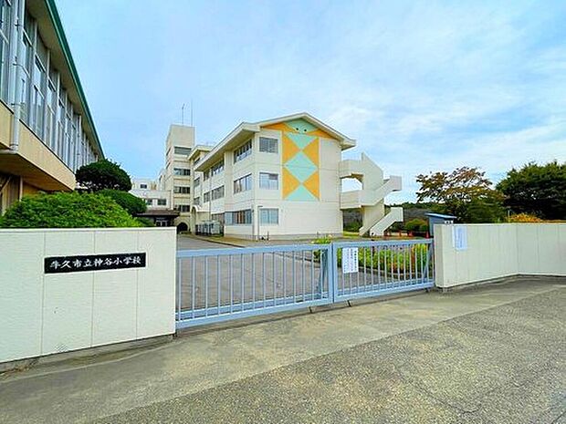 牛久市立神谷小学校（約1,500m）