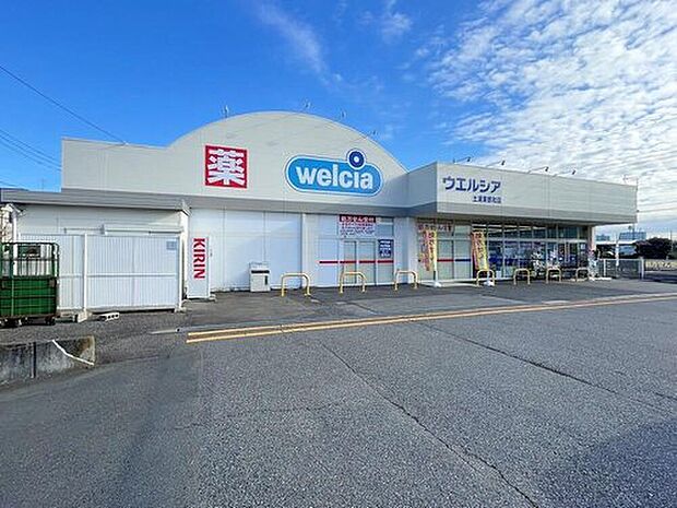 ウエルシア土浦東都和店(約550m)