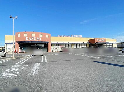 カスミ谷井田店 600ｍ(徒歩8分)