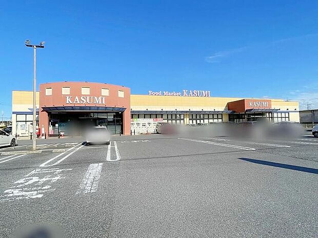 カスミ谷井田店(約600m)