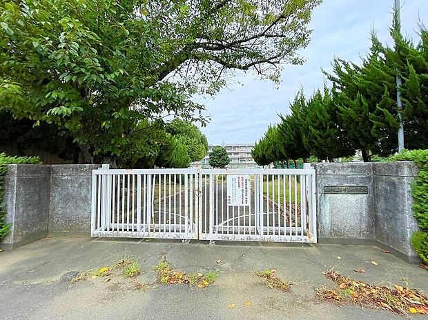 土浦市立土浦第一中学校（約350m）