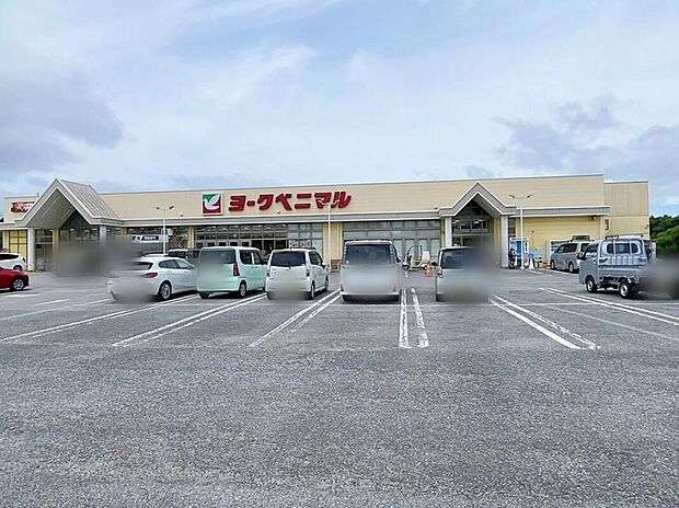ヨークベニマル美浦店(約2,690m)