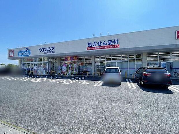 ウエルシア小美玉美野里店(約1,970m)