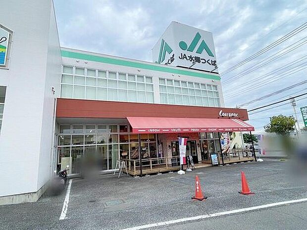 JA水郷つくば土浦南支店（約440m）