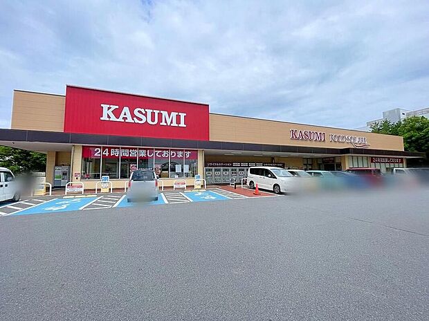 カスミフードスクエアテクノパーク桜店(約2,700m)
