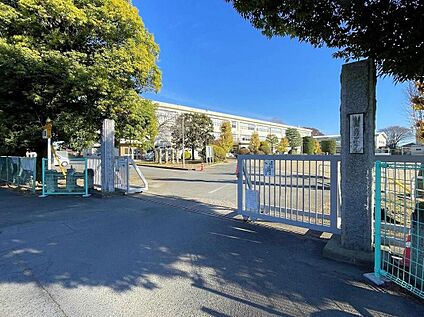 石岡市立府中小学校 600m(徒歩8分)