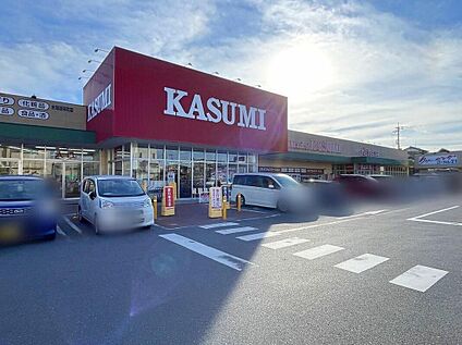 カスミ水海道栄町店 1120ｍ(徒歩14分/車3分)